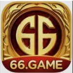 66.Game Rummy